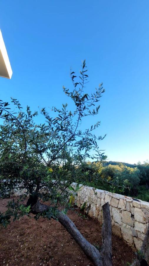 Sweet Home Himara Exterior photo