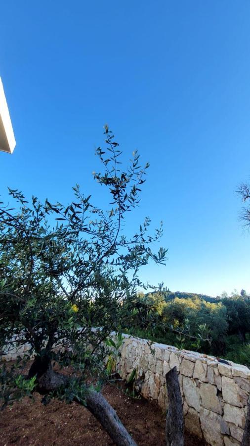 Sweet Home Himara Exterior photo
